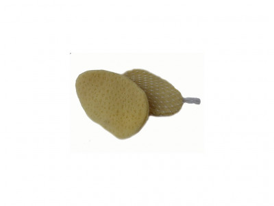 Prírodná morská huba - Slonie ucho