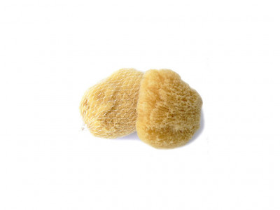 Prírodná morská huba - Karibská 7-9cm
